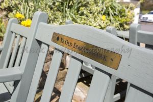 fence sparrowhawk 91.jpg